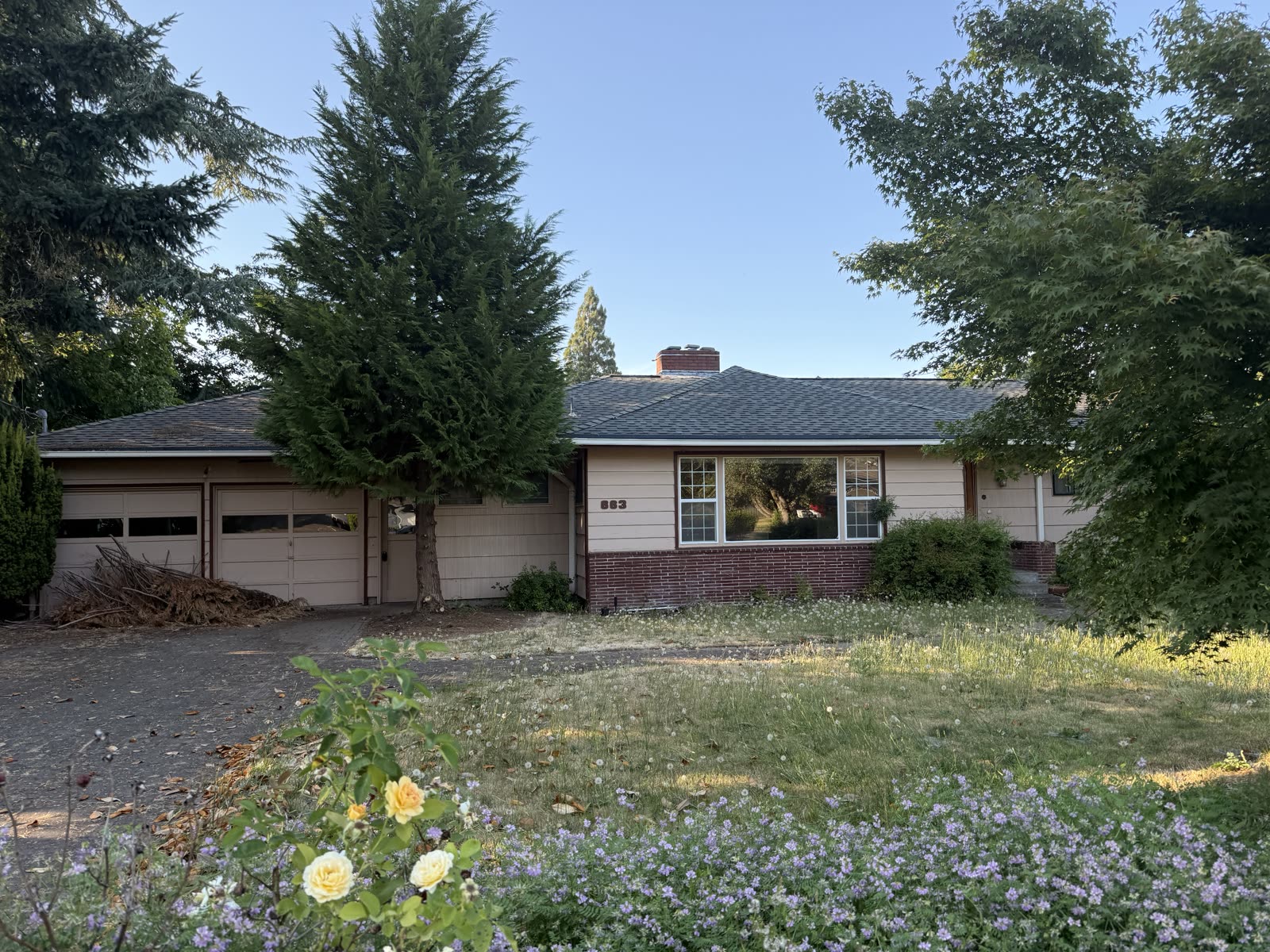 Dated ranch home with overgrown yard and worn siding before renovation